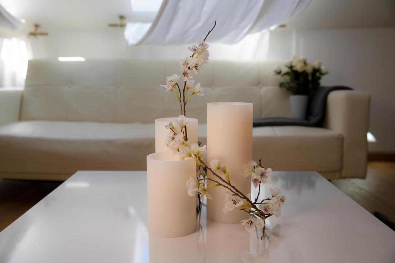 Luxus Penthouse Whiterussian Apartment Freiburg im Breisgau Luaran gambar