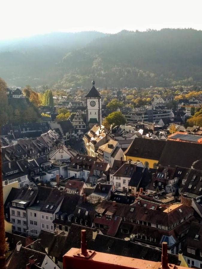 Luxus Penthouse Whiterussian Apartment Freiburg im Breisgau Luaran gambar